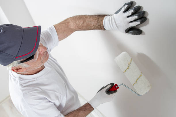 Best Attic Mold Removal  in Honolulu, HI