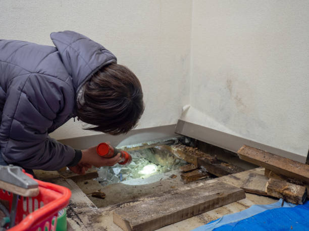 Best Forensic Mold Investigation  in Honolulu, HI