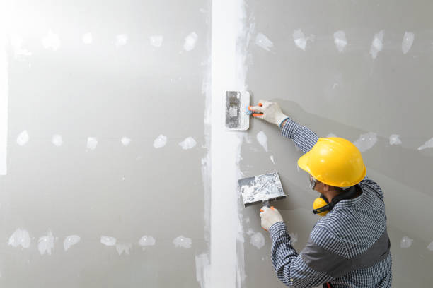 Best Real Estate Mold Inspection  in Honolulu, HI