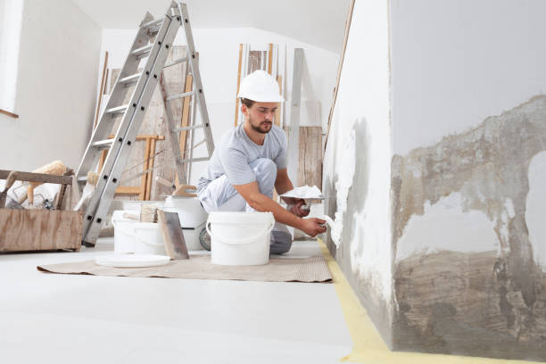 Best Comprehensive Air Testing for Mold Contaminants  in Honolulu, HI