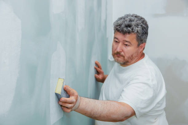 Best Mold Odor Removal Services  in Honolulu, HI