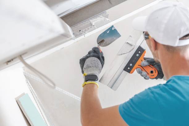 Best Residential Mold Inspection & Testing  in Honolulu, HI